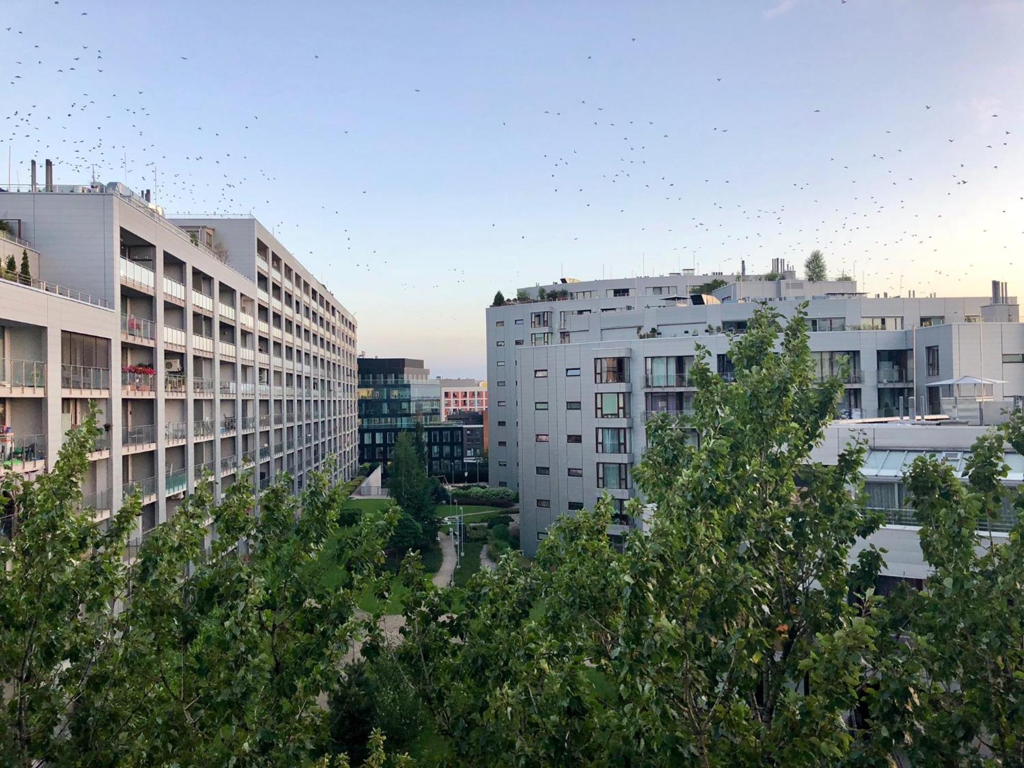 Luksusowy Dwupokojowy W Tritonpark Apartament *
